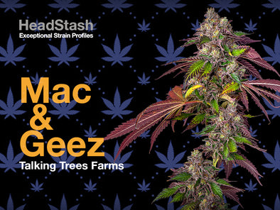 HeadStash: Mac & Geez