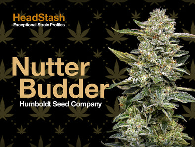 HeadStash - Nutter Budder