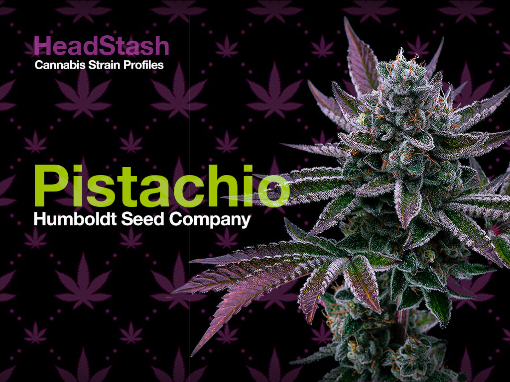 Pistacho CBD - 23% CBD. Cannabis Legal