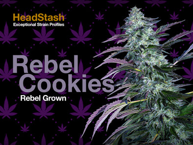 HeadStash: Rebel Cookies