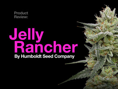 Product Review: Jelly Rancher By Humboldt Seed Company
