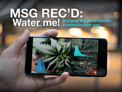 MSG REC'D: Water me!