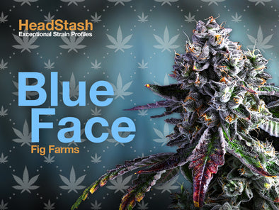 HeadStash: Blue Face