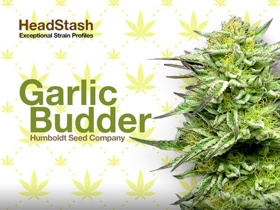 HeadStash: Garlic Budder
