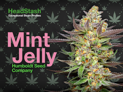 HeadStash: Mint Jelly