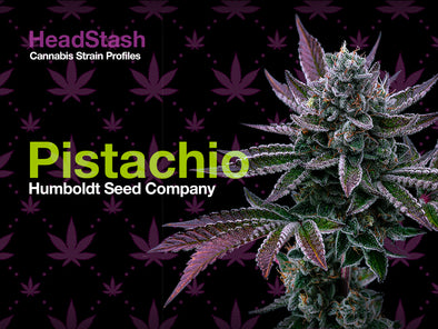 HeadStash: Pistachio