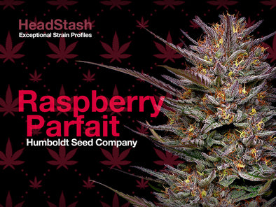 HeadStash: Raspberry Parfait