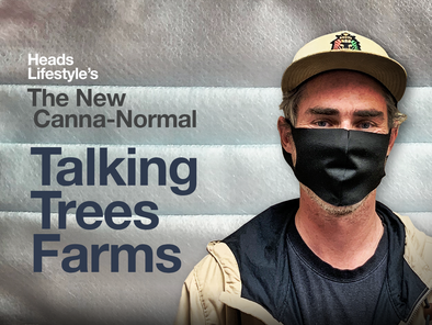 The New Canna-Normal: Talking Trees Farms