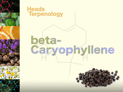 Terpenology: beta-Caryophyllene