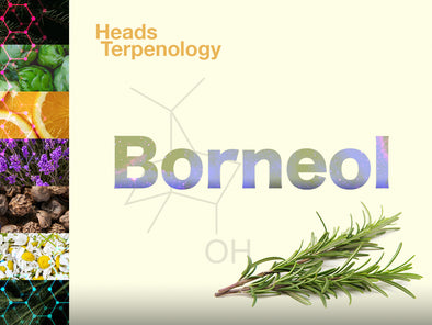 Terpenology: Borneol