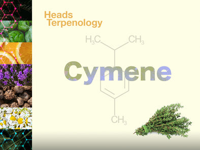 Terpenology: Cymene