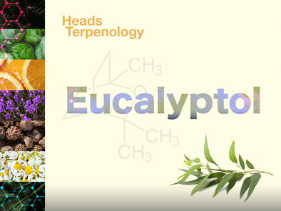 Terpenology: Eucalyptol